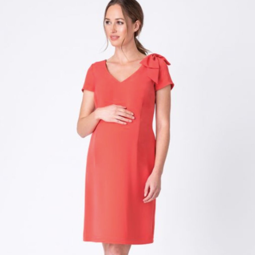 Coral Serephine Maternity Dress- NWT
